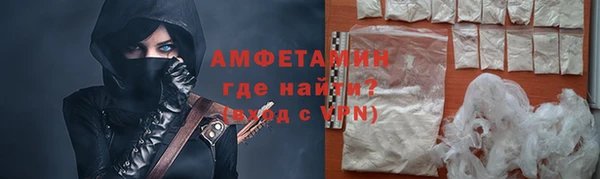 spice Инта