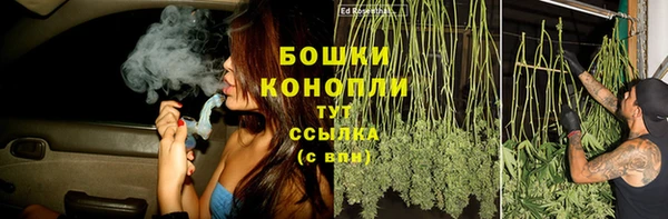 каннабис Каменногорск
