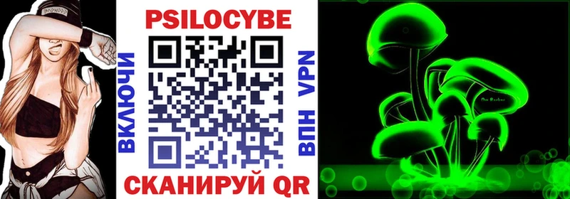Галлюциногенные грибы Psilocybe  Купить  Ивантеевка 